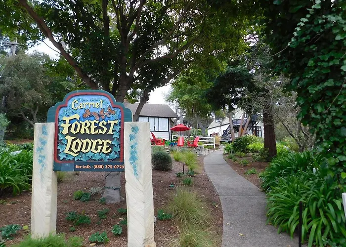 Forest Lodge